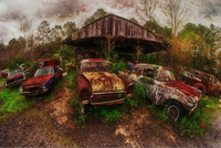 Trent Mayo @ Old Car City USA - Acoustic Country
