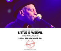 Little G Weevil