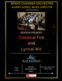 Bravo Chamber Orchestra presents: Classical Fire and Lyrical Wit