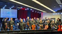 Maitland Symphony Orchestra