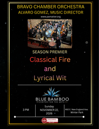 Bravo Chamber Orchestra presents: Classical Fire and Lyrical Wit
