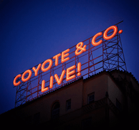 Coyote & Co. @ Lily Flanigan's 