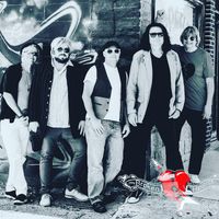 The Broken Hearts : Tom Petty Tribute 