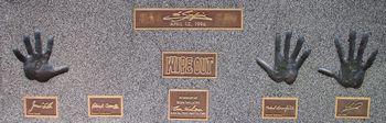 Surfaris Hollywood Rockwalk Tribute

