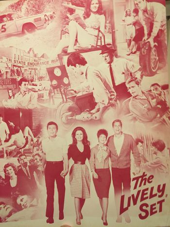 Lively Set movie poster
