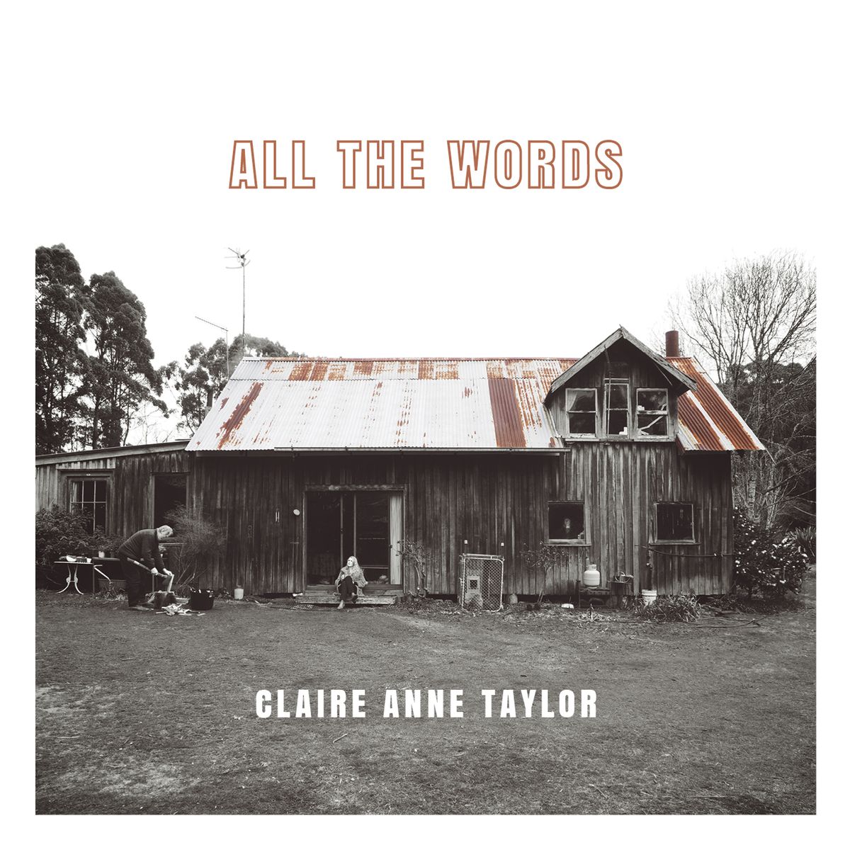 All The Words - CD