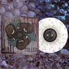POLLEN - Vinyl