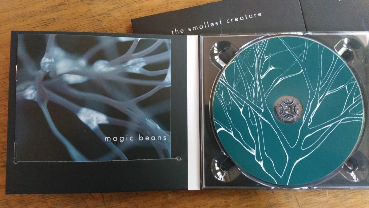 Magic Beans - CD