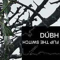 FLIP THE SWITCH by DÚBH