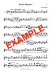 ‼️NEW‼️BLUE BIRDS - PDF eBOOK FLUTE Edition 