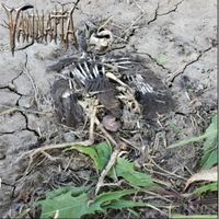 Vannatta by Vannatta