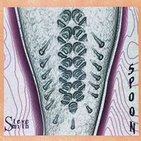 Spoon by Steve Smith