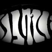 Earwax Test by Sluice