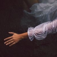 Alibi by Jessica Strout