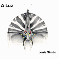 A LUZ by Louis Simão  