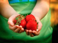 Sandy Spring Strawberry Festival