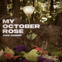 My October Rose by DAN GOBER