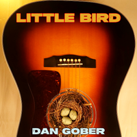 Little Bird by DAN GOBER