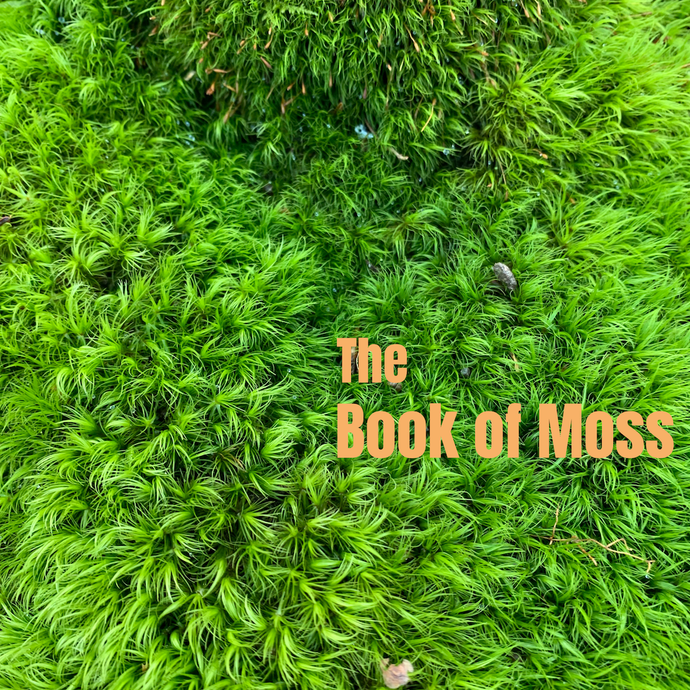 The Book of Moss - CD