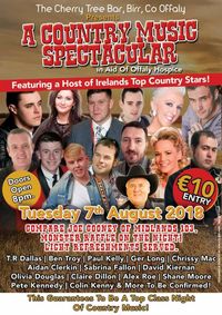 Guest Spot at Charity Concert (Offaly Hospice)