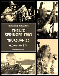 Liz Springer Trio