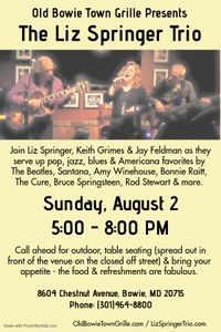 Liz Springer Trio
