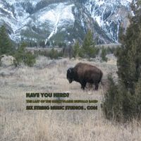 Have you herd? by The Last of the Great Plains Buffalo Band
