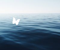 Chorus Niagara & Niagara Symphony Orchestra:  Ein Deutsches Requiem