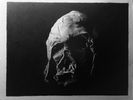 ‘The Remains of Vader’