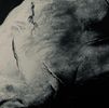 ‘The Remains of Vader’