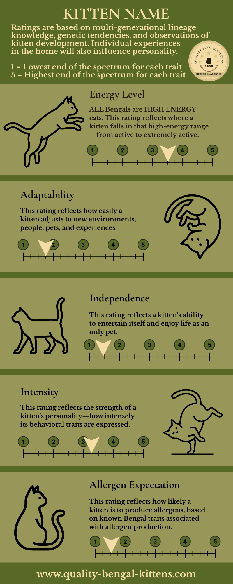 Bengal Kitten Personality Traits