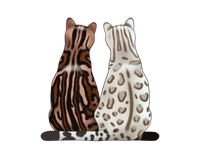 LCWW PLEASANTON CAT EXTRAVAGANZA