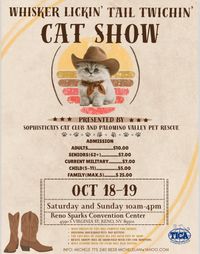 Wisker Licking Tail Twitching Cat Show