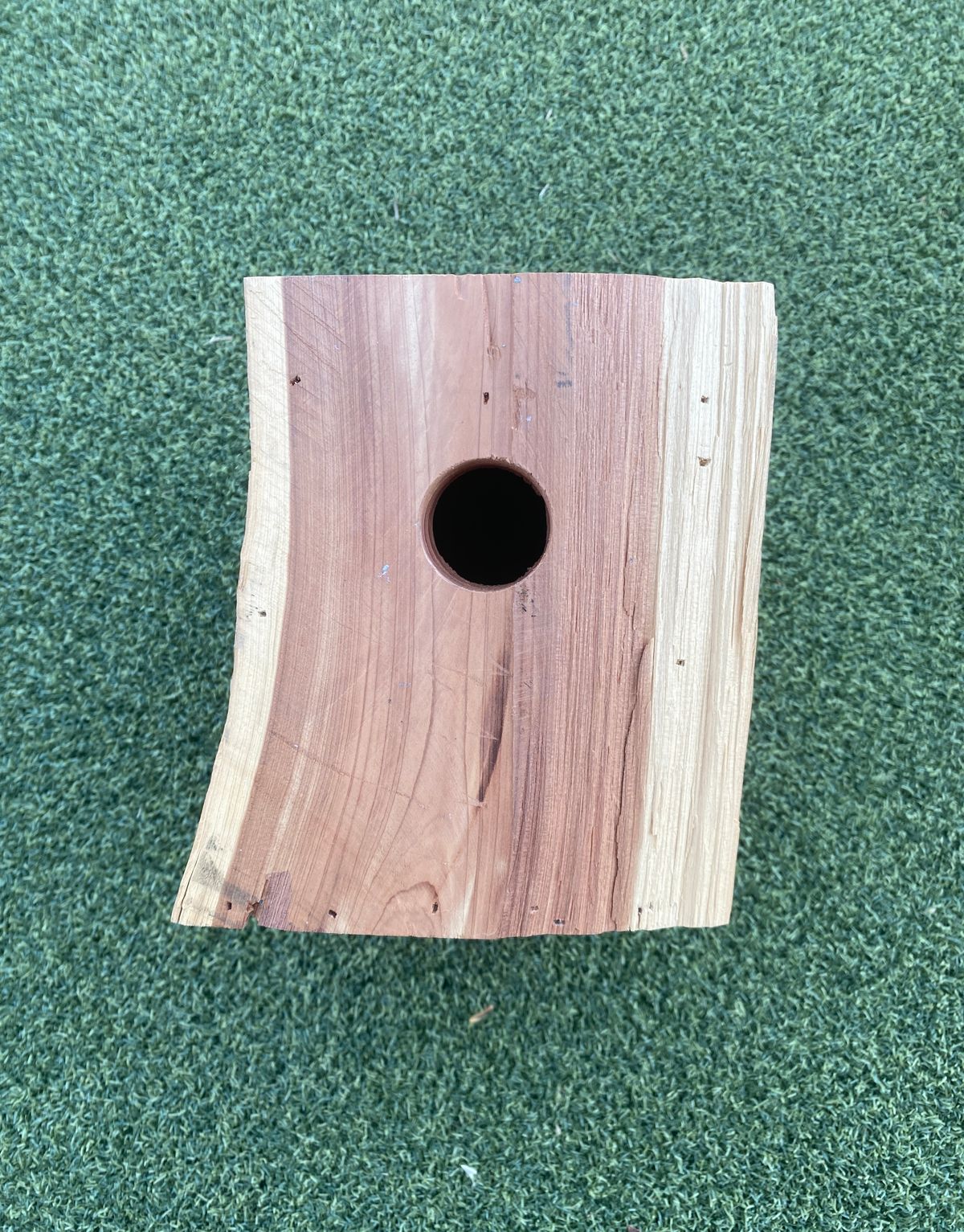 Birdhouse Cedar Waxwing