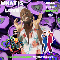 What Is Love (Nilla Green Remix) by Nilla Green, Haddaway