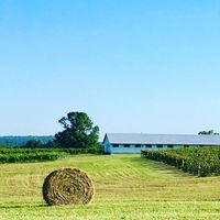 Harvest Weekends Begins