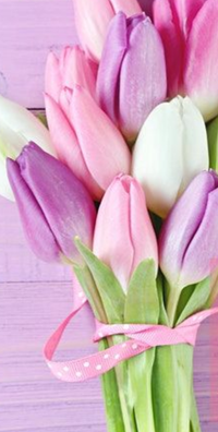 Tulips & Tea Talk 