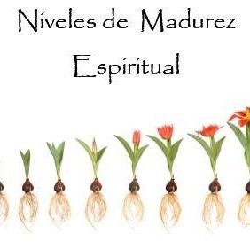 Niveles de  Madurez Espiritual (1 CD)