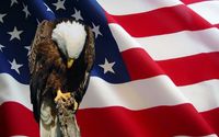 Del Sur Memorial Day Festival