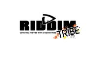 Notting Hill Carnival - D Riddim Tribe Mas Band