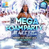 The Mega Foam Party