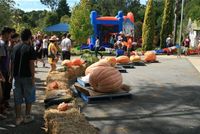 Coming Events...  Dwellingup Pumpkin Festival