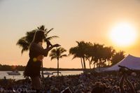 Betty Fox Band 