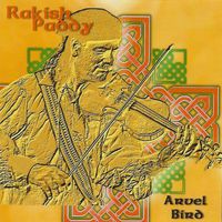 Rakish Paddy by Arvel Bird | Celtic Fiddling