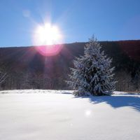 Wexford Carol - free MP3 by Jodee James