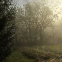 Y Llanc Ifanc o Lŷn (Young Fellow from Llŷn) by Jodee James