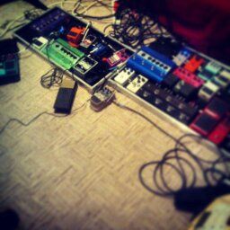Lizards 1 and pedal racks boards
