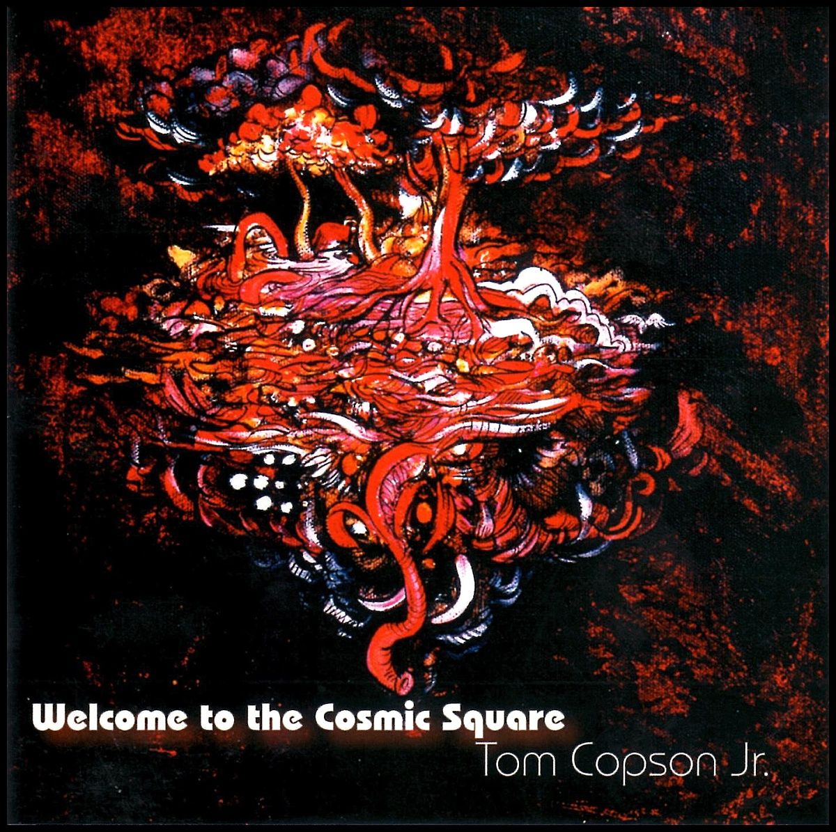 Welcome to the Cosmic Square  - CD