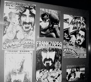 BoDogTour Austin TX Zappa
