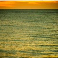 On the Island by Lizards from Mars Collective/Trio 